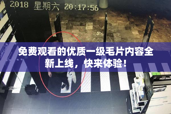 免费观看的优质一级毛片内容全新上线，快来体验！