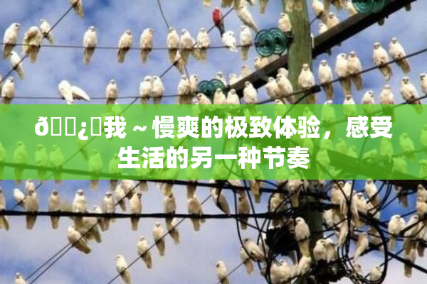 🌿‌我～慢爽的极致体验，感受生活的另一种节奏