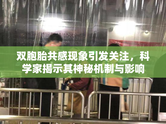 双胞胎共感现象引发关注，科学家揭示其神秘机制与影响