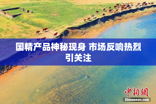 国精产品神秘现身 市场反响热烈引关注