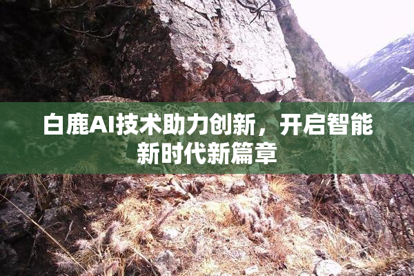 白鹿AI技术助力创新，开启智能新时代新篇章