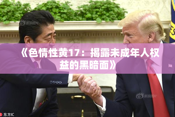 《色情性黄17：揭露未成年人权益的黑暗面》