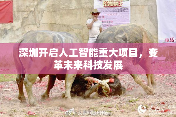 深圳开启人工智能重大项目，变革未来科技发展