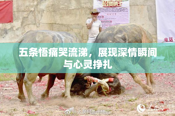 五条悟痛哭流涕，展现深情瞬间与心灵挣扎