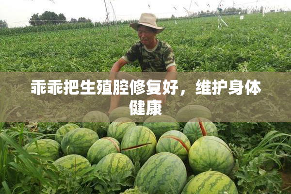乖乖把生殖腔修复好，维护身体健康