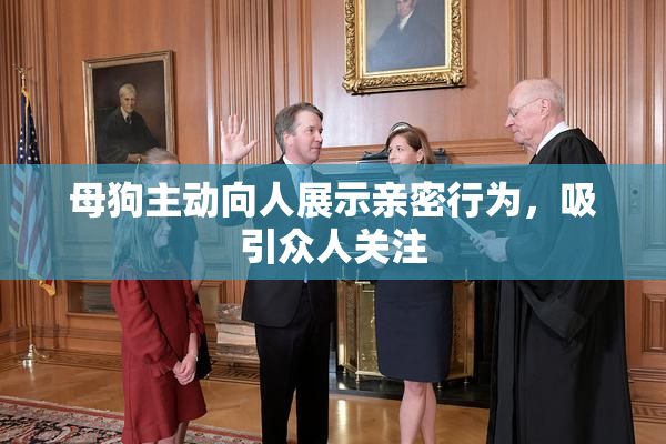 母狗主动向人展示亲密行为，吸引众人关注