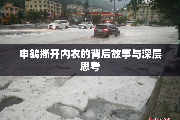 申鹤撕开内衣的背后故事与深层思考