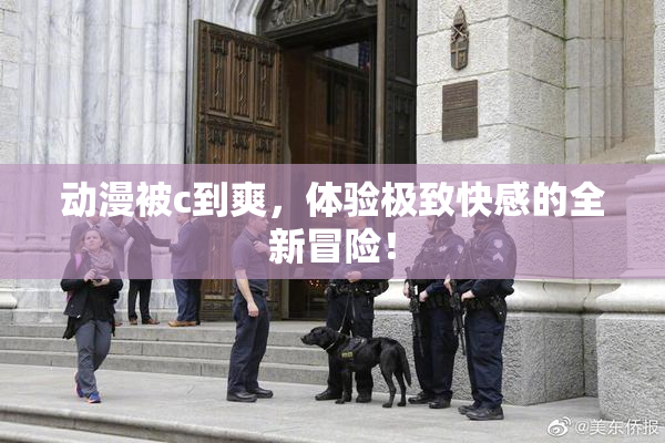 动漫被c到爽，体验极致快感的全新冒险！