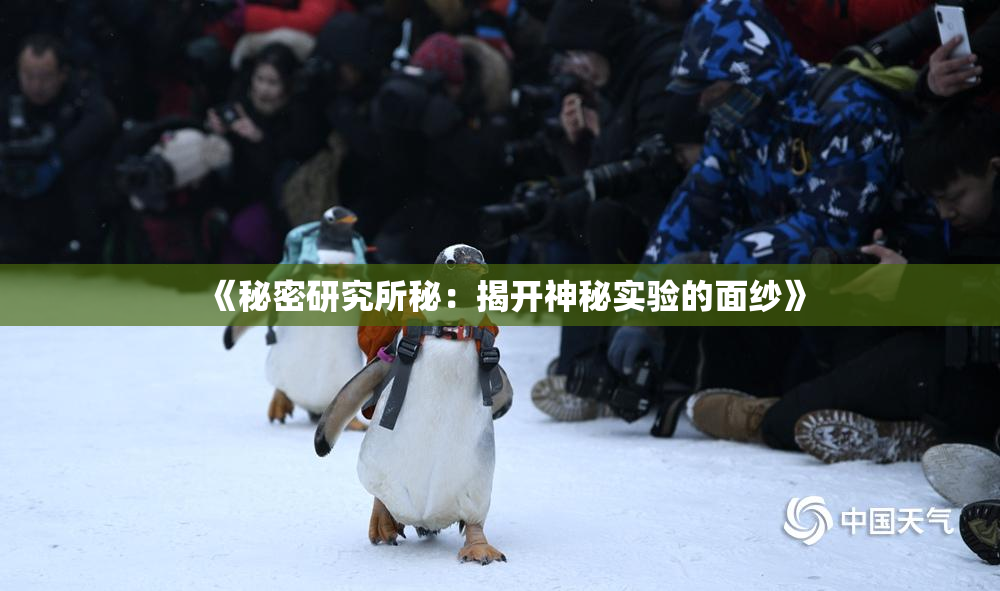 《秘密研究所秘：揭开神秘实验的面纱》
