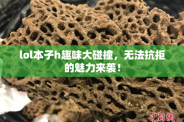 lol本子h趣味大碰撞，无法抗拒的魅力来袭！