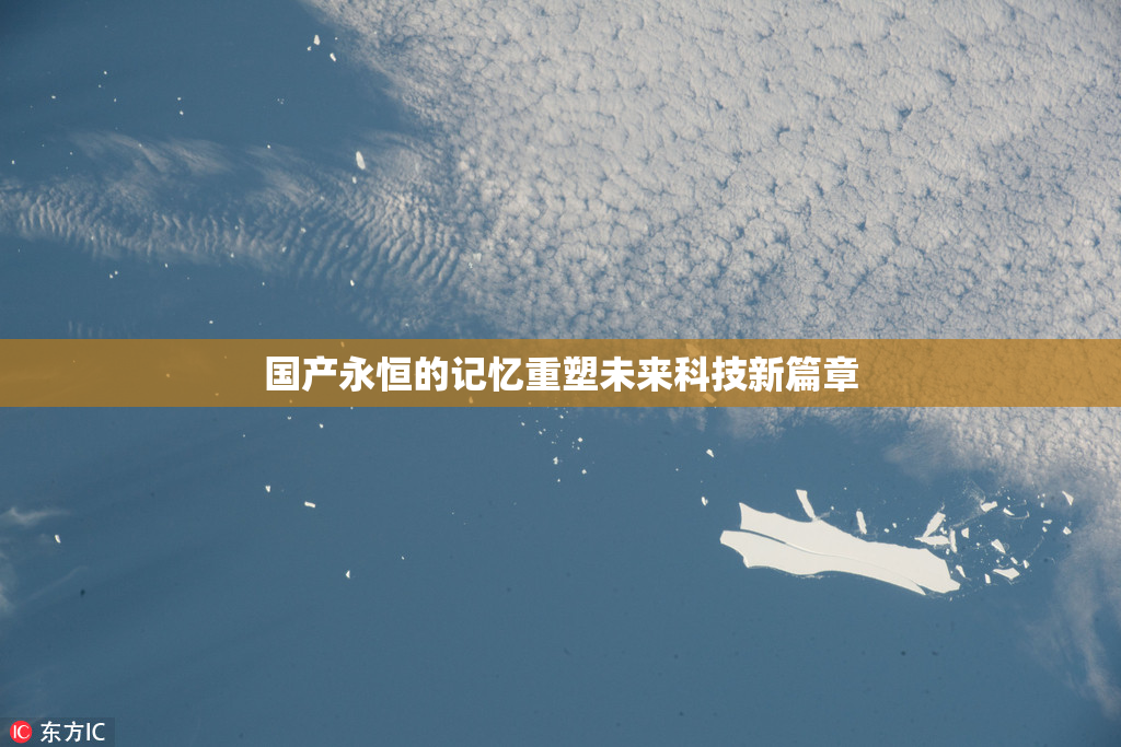国产永恒的记忆重塑未来科技新篇章
