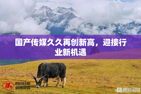 国产传媒久久再创新高，迎接行业新机遇