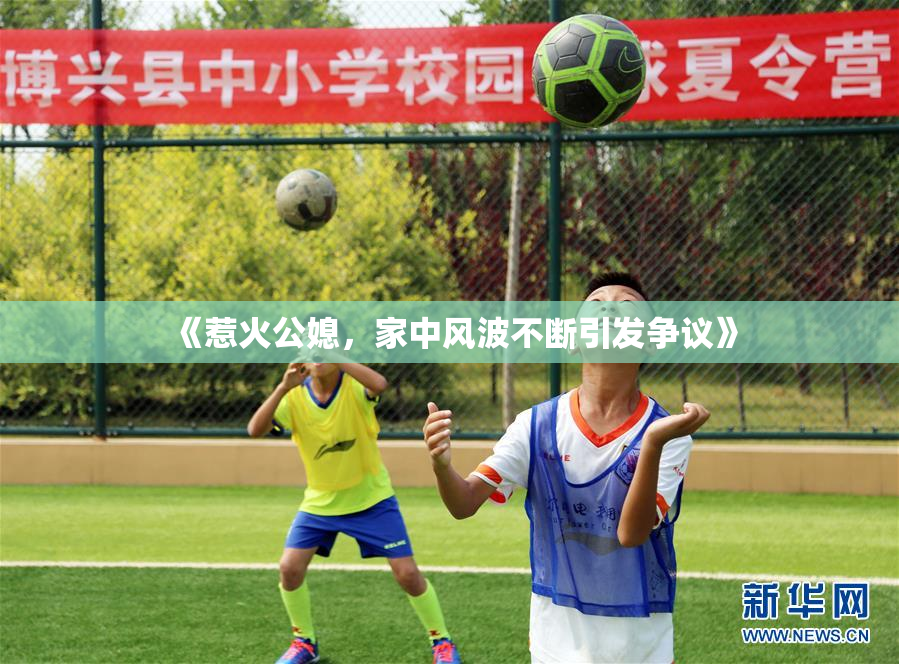 《惹火公媳，家中风波不断引发争议》