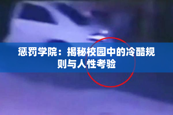 惩罚学院：揭秘校园中的冷酷规则与人性考验