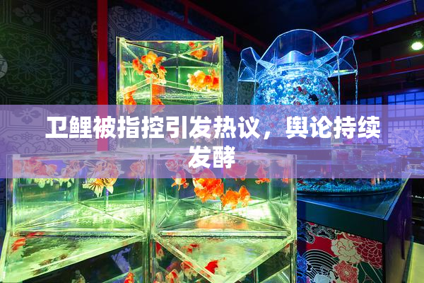卫鲤被指控引发热议，舆论持续发酵