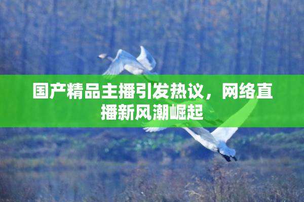 国产精品主播引发热议，网络直播新风潮崛起