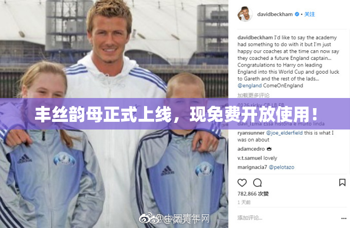 丰丝韵母正式上线，现免费开放使用！