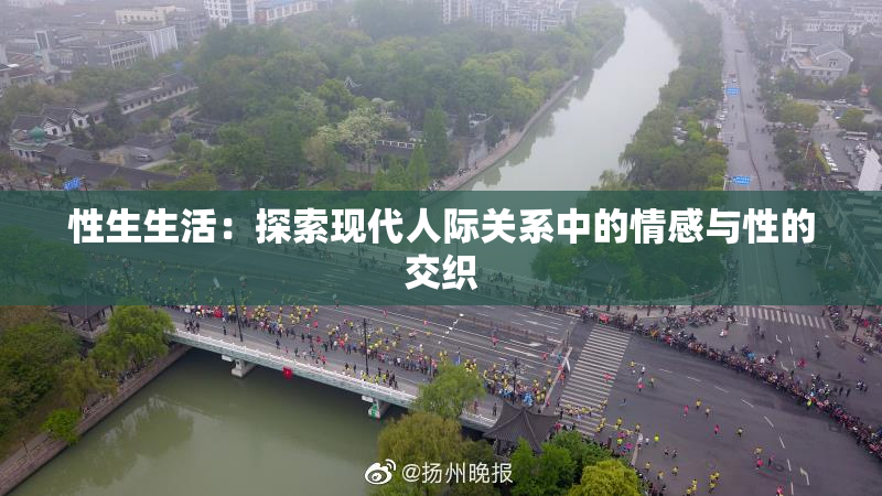 性生生活：探索现代人际关系中的情感与性的交织