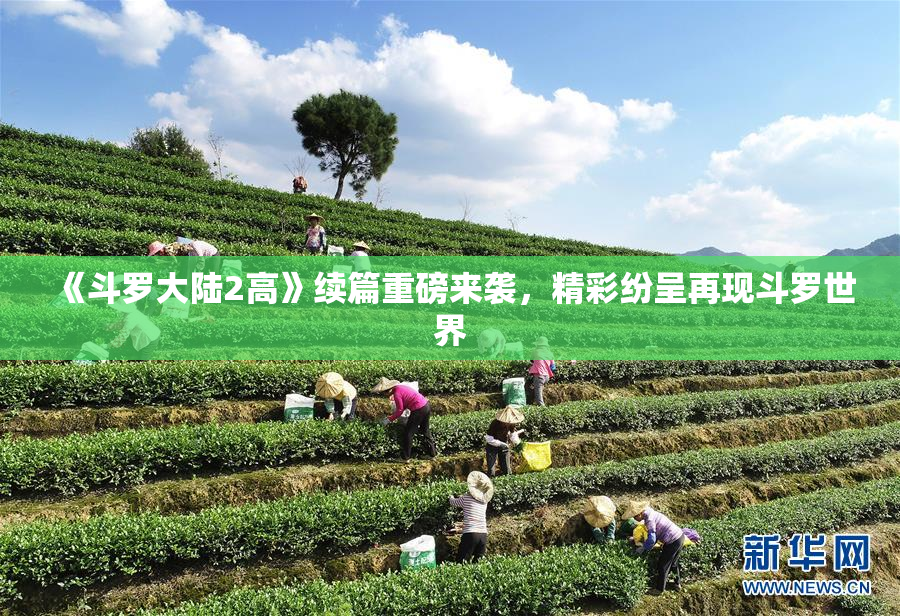 《斗罗大陆2高》续篇重磅来袭，精彩纷呈再现斗罗世界