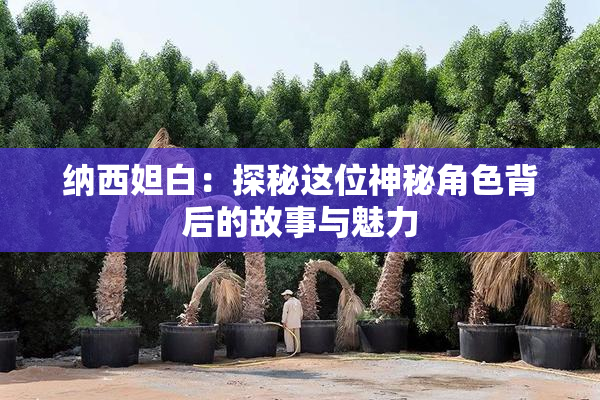 纳西妲白：探秘这位神秘角色背后的故事与魅力