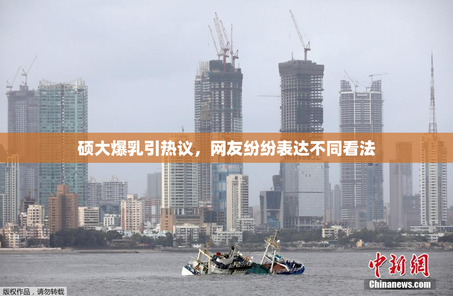 硕大爆乳引热议，网友纷纷表达不同看法