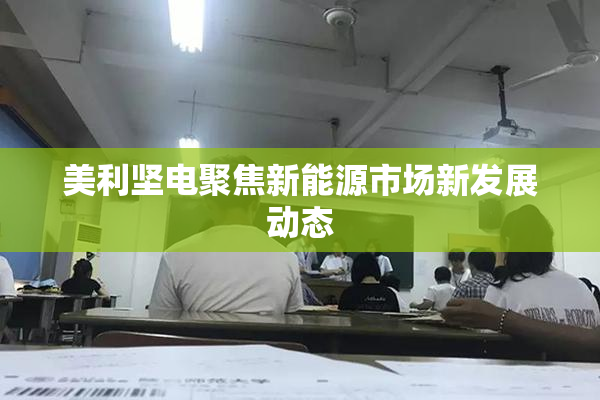 美利坚电聚焦新能源市场新发展动态