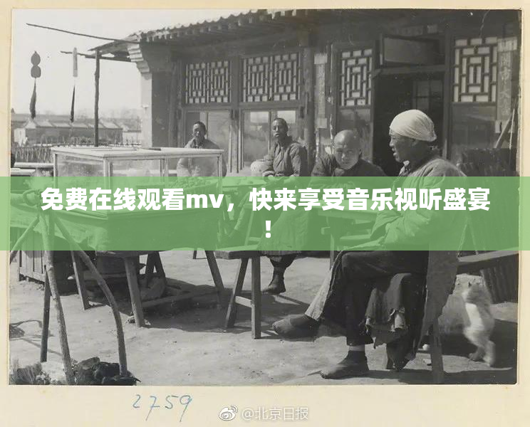 免费在线观看mv，快来享受音乐视听盛宴！