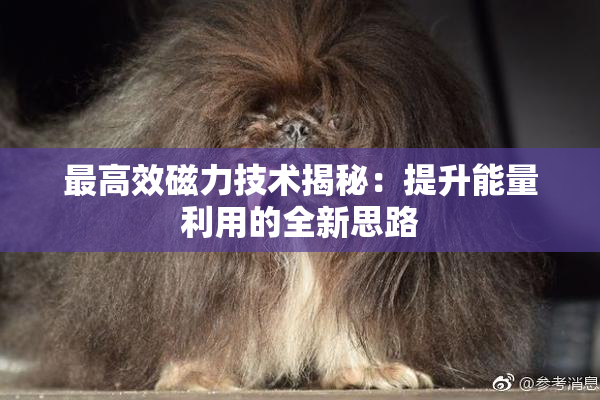 最高效磁力技术揭秘：提升能量利用的全新思路