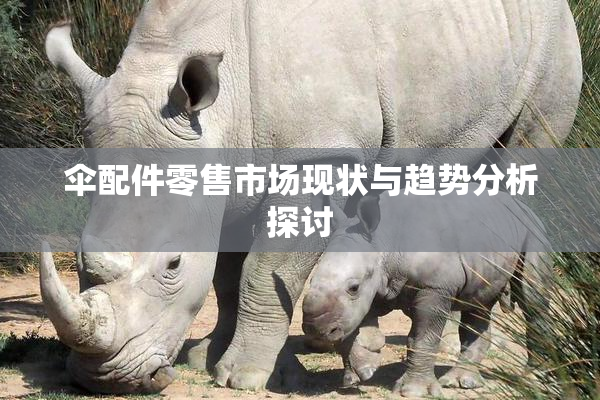 伞配件零售市场现状与趋势分析探讨