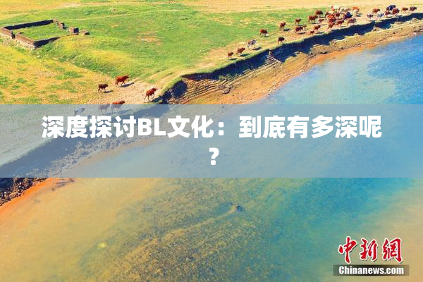 深度探讨BL文化：到底有多深呢？