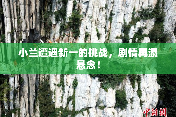 小兰遭遇新一的挑战，剧情再添悬念！