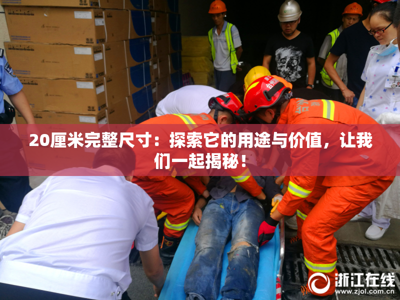 20厘米完整尺寸：探索它的用途与价值，让我们一起揭秘！