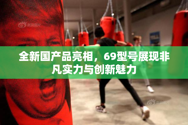 全新国产品亮相，69型号展现非凡实力与创新魅力