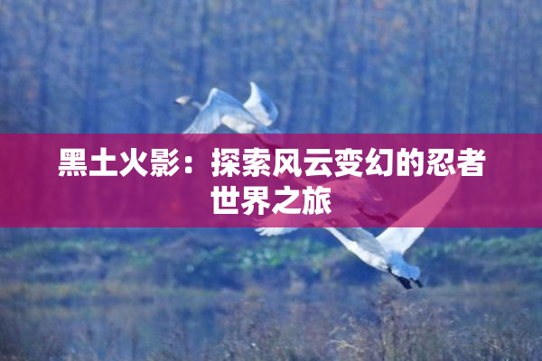 黑土火影：探索风云变幻的忍者世界之旅