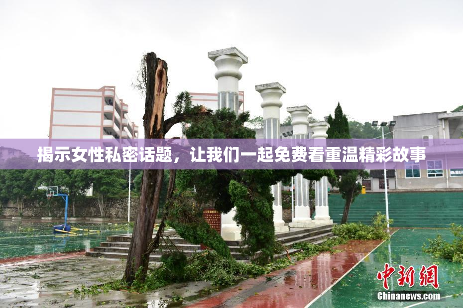 揭示女性私密话题，让我们一起免费看重温精彩故事