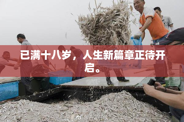 已满十八岁，人生新篇章正待开启。