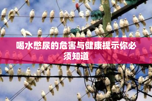 喝水憋尿的危害与健康提示你必须知道