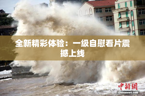 全新精彩体验：一级自慰看片震撼上线