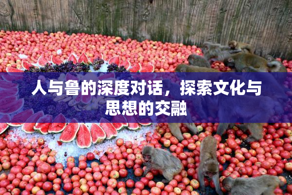 人与鲁的深度对话，探索文化与思想的交融