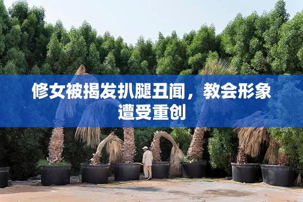 修女被揭发扒腿丑闻，教会形象遭受重创