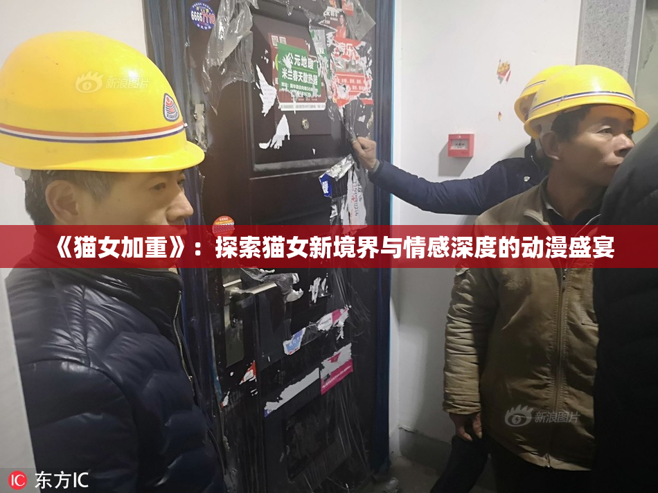 《猫女加重》：探索猫女新境界与情感深度的动漫盛宴