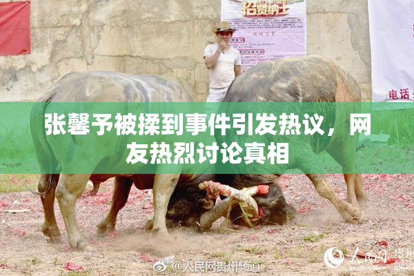 张馨予被揉到事件引发热议，网友热烈讨论真相