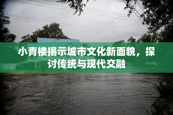 小青楼揭示城市文化新面貌，探讨传统与现代交融