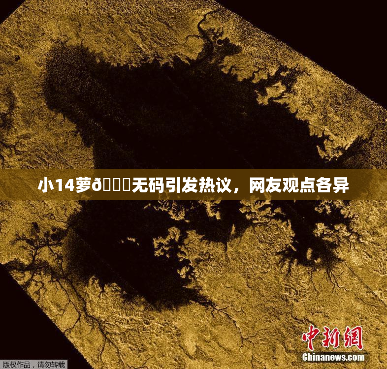 小14萝🔞无码引发热议，网友观点各异