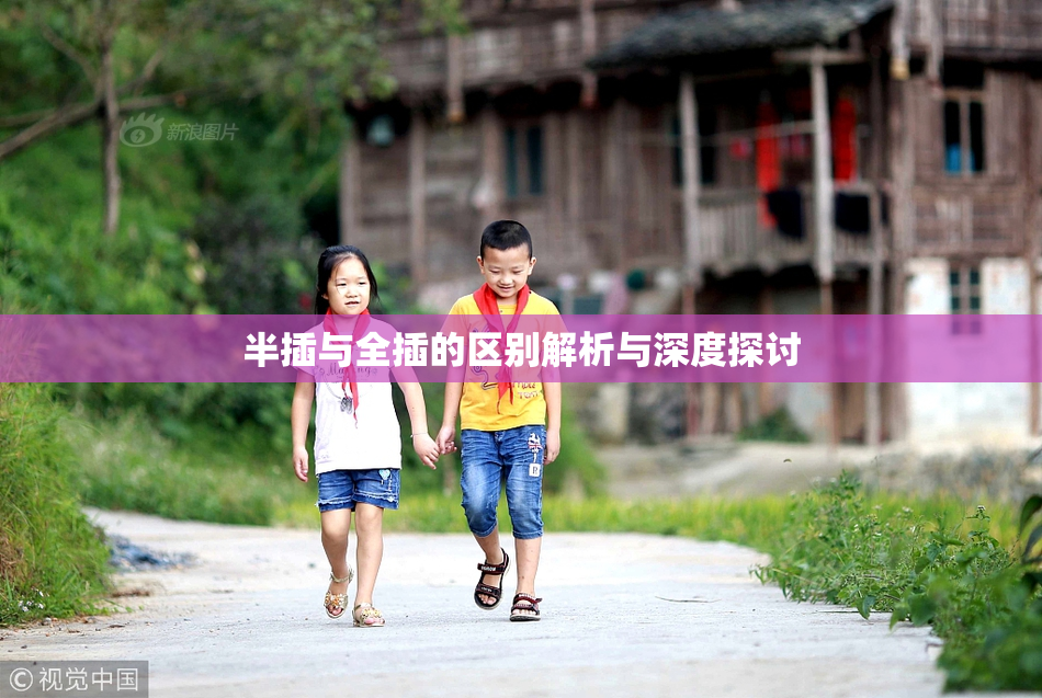 半插与全插的区别解析与深度探讨