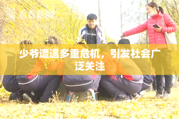 少爷遭遇多重危机，引发社会广泛关注