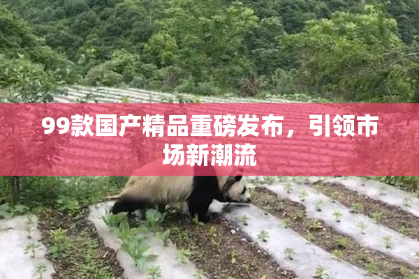 99款国产精品重磅发布，引领市场新潮流