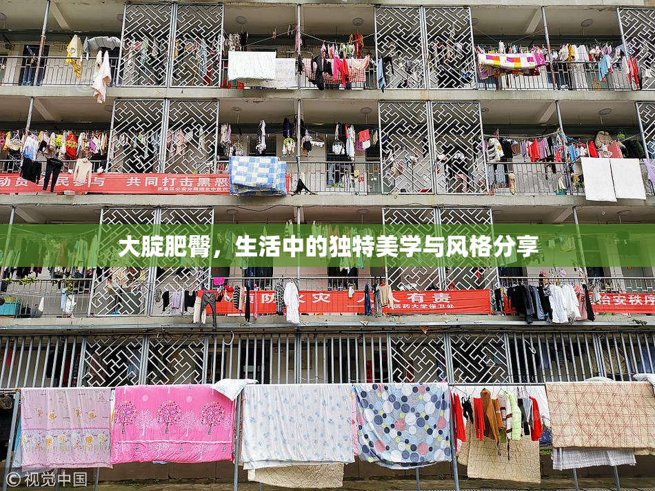大腚肥臀，生活中的独特美学与风格分享