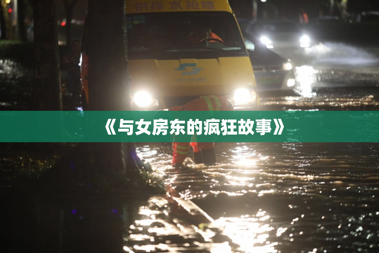 《与女房东的疯狂故事》