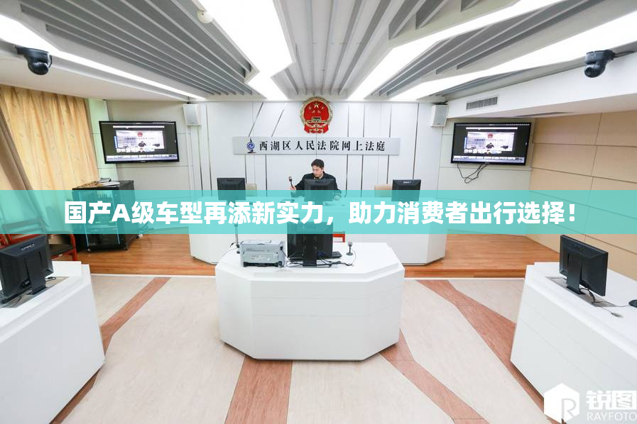 国产A级车型再添新实力，助力消费者出行选择！